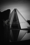Adelaide Botanic Gardens Bicentennial conservatory (914_9805)