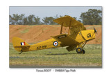 DH-82A Tiger Moth