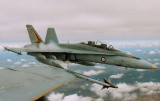 F/A-18B Hornet