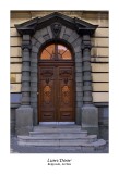 Lion Door 2.jpg