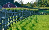 Barn and Fence in the Afternoon Sun