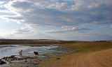 Low Tide, Low Clouds