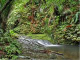 Stream near Fairy Falls