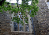 Union Theological Seminary  NYC