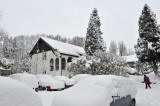 Snow 0209_ 41.jpg