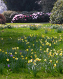 Nymans Gardens, Sussex