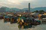 Causeway Bay Typhoon Shelter #4