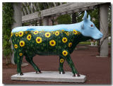 Sunflower Cow - Tracy Stone