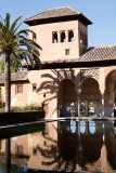 La Tour des Dames <p><a href=http://www.pbase.com/pfmerlin/gallery/grenade__grenada> More pictures from Grenade - Alhambra </a>