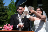 <p><a href=http://www.pbase.com/pfmerlin/mariage_pierrelaurent__et_catherine>  Autres Photos ici