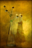 Wild Flowers In Vase.