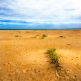 Tentsmuir Beach.