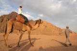 In the Sinai Desert.jpg