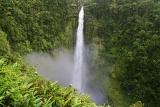 Akaka Falls - Big Island
