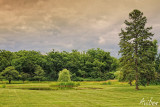 Bannockburn Pre-Storm 7-18-09.jpg