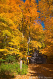 Maple Syrup Barn