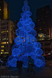 Dundas Square Christmas Tree