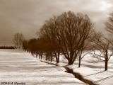 3 of  Winter in Sepia, Black and White