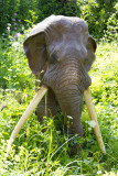 The making of.... straight-tusked elephant