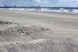 IMG_9111.jpg