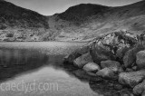 IMG_4211bw.jpg