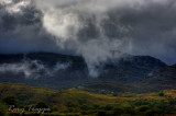 Here comes the rain again !!