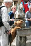 Thirsty Fountain Drinker