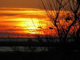 Thanksgiving Weekend Sunset - Assateague Island