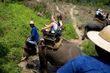 Mahout and tourist trekking the hills on elephant back, Thailand