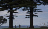 Northshore