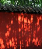 Shadows on the Red Wall (Aug 06)
