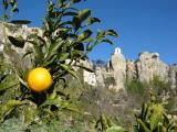 Oranges and bell tower Guadalest