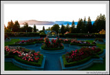 UBC Campus Rose Garden