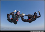 hib_a181.jpg