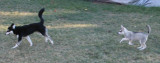 Stormy & Cierra 111508 073.JPG