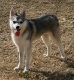Nali Came To Visit