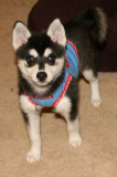 Harlee (Fremont) 052.JPG
