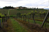 Tuscany, near Radi south of Siena along S34
