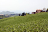 Tuscany between San Gimignano and Voterra