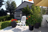 After one month with the potted plants maturing