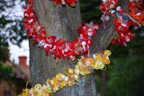 skansen pacifier garland in tree