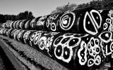 agrictural art .