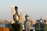 IMG_3196.JPG