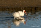 IMG_5068.JPG