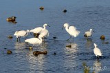 IMG_5479.JPG