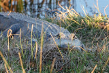 IMG_6812.JPG