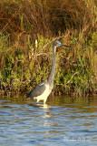 IMG_9603.JPG