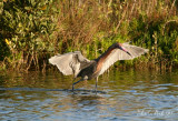 IMG_9604.JPG