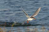 IMG_9638.JPG