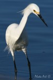 IMG_0551-1.JPG